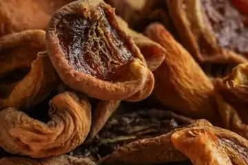 Kayısı Çikolatası Al: Lezzetli ve Sağlıklı Bir Seçenek